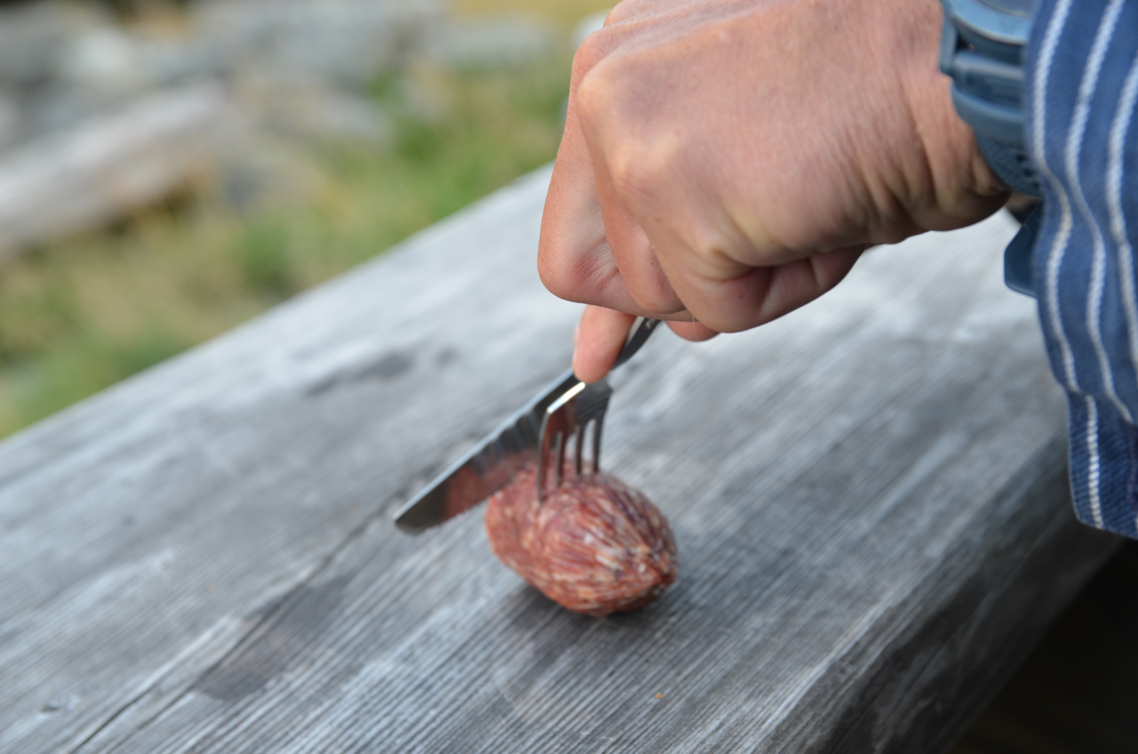 Titanium Cutlery